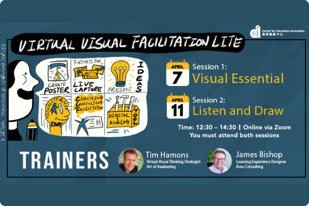 Virtual Visual Facilitation Lite (VVFL) Sessions